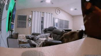 20260205190545992ewlo.gif