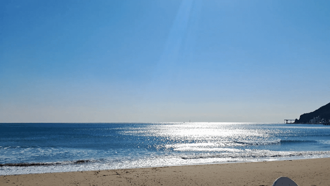 1000065610.gif