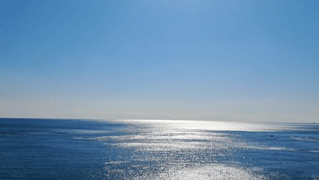 1000065615.gif