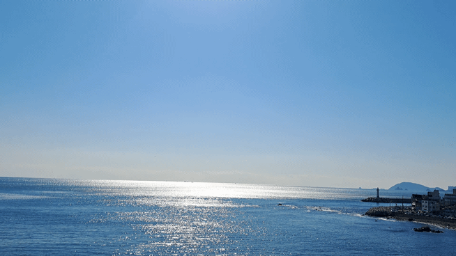 1000065616.gif