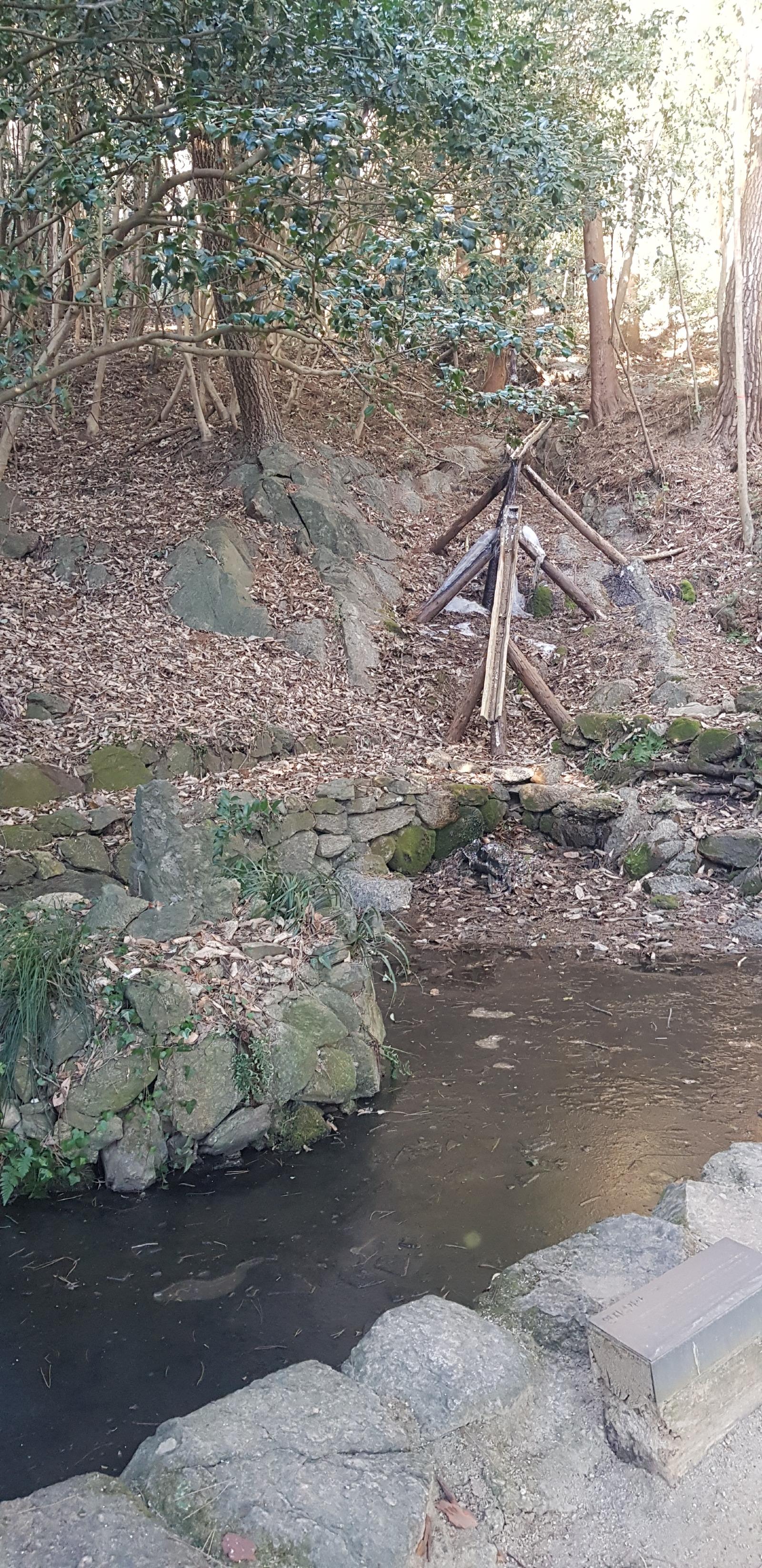 20260207_160924.jpg