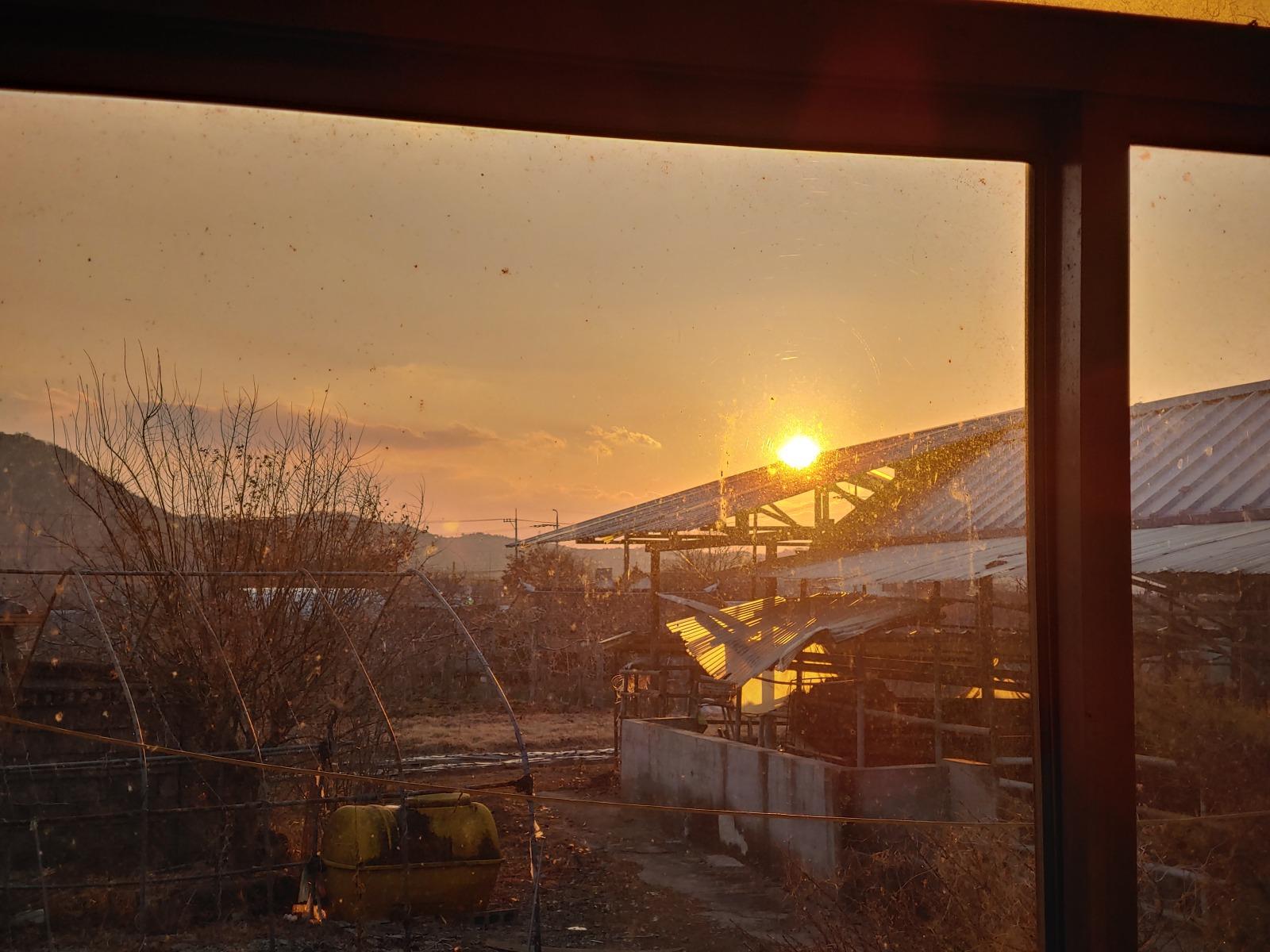 20260103_165200_HDR.jpg