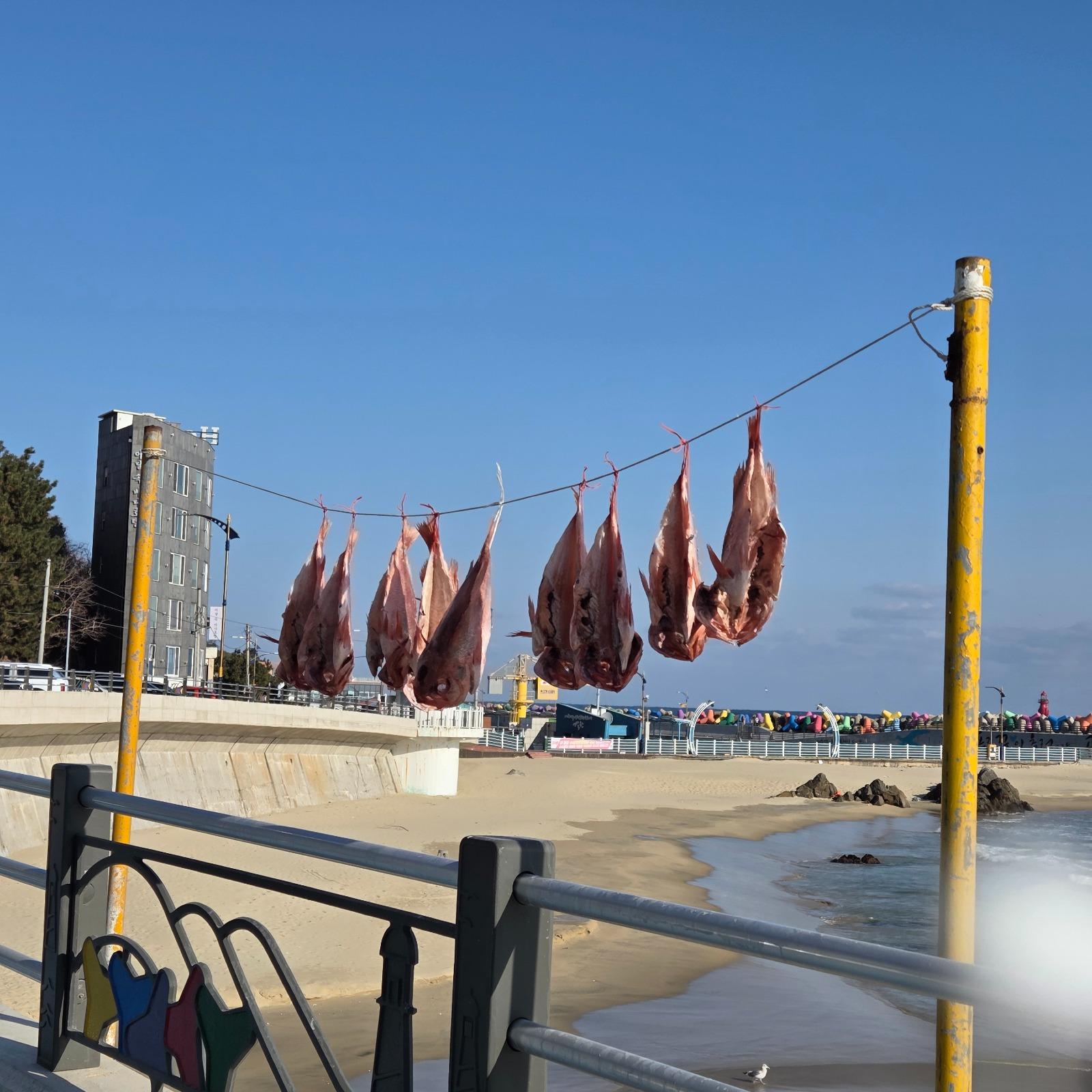 20101.jpg