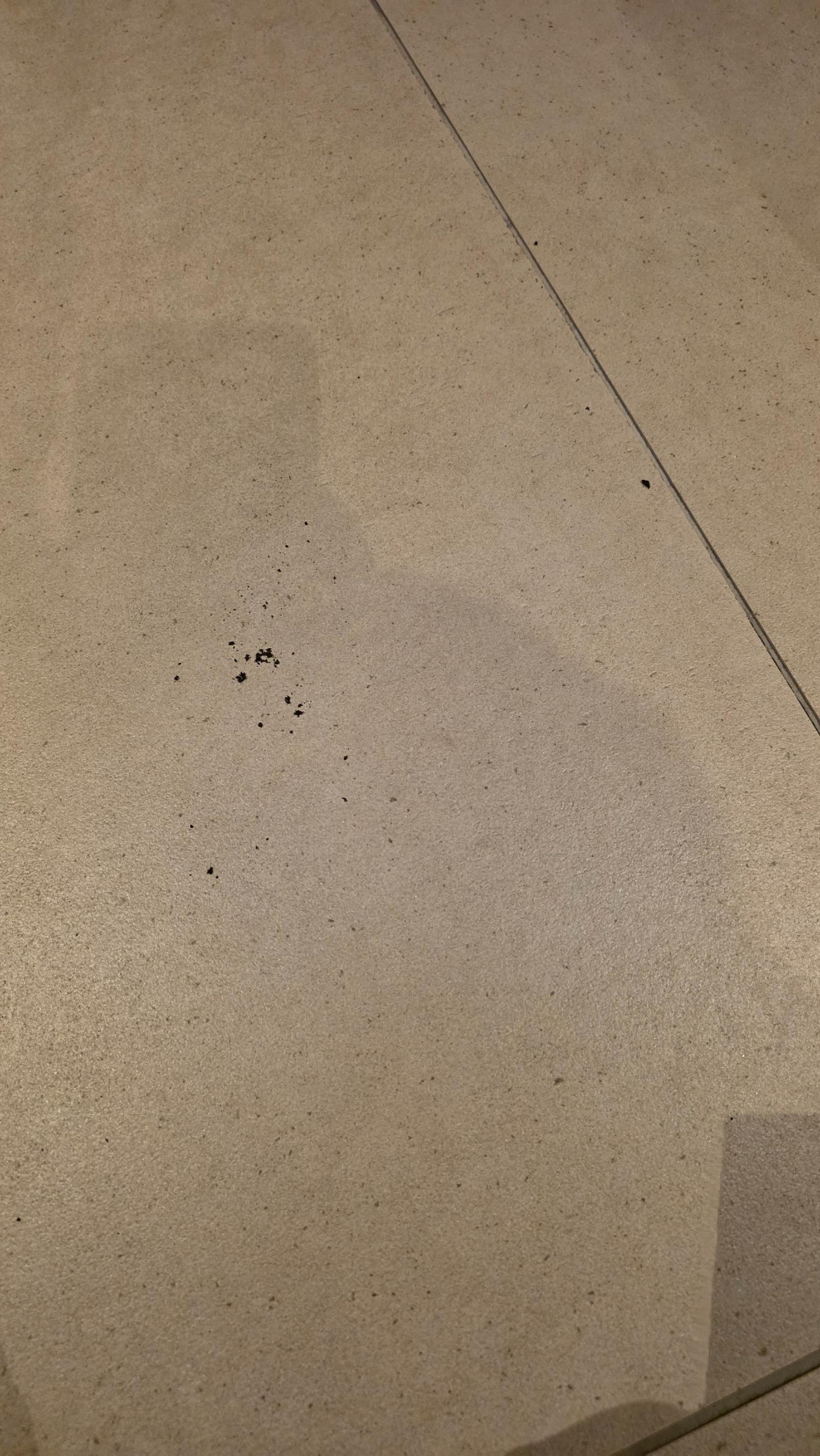44151.jpg
