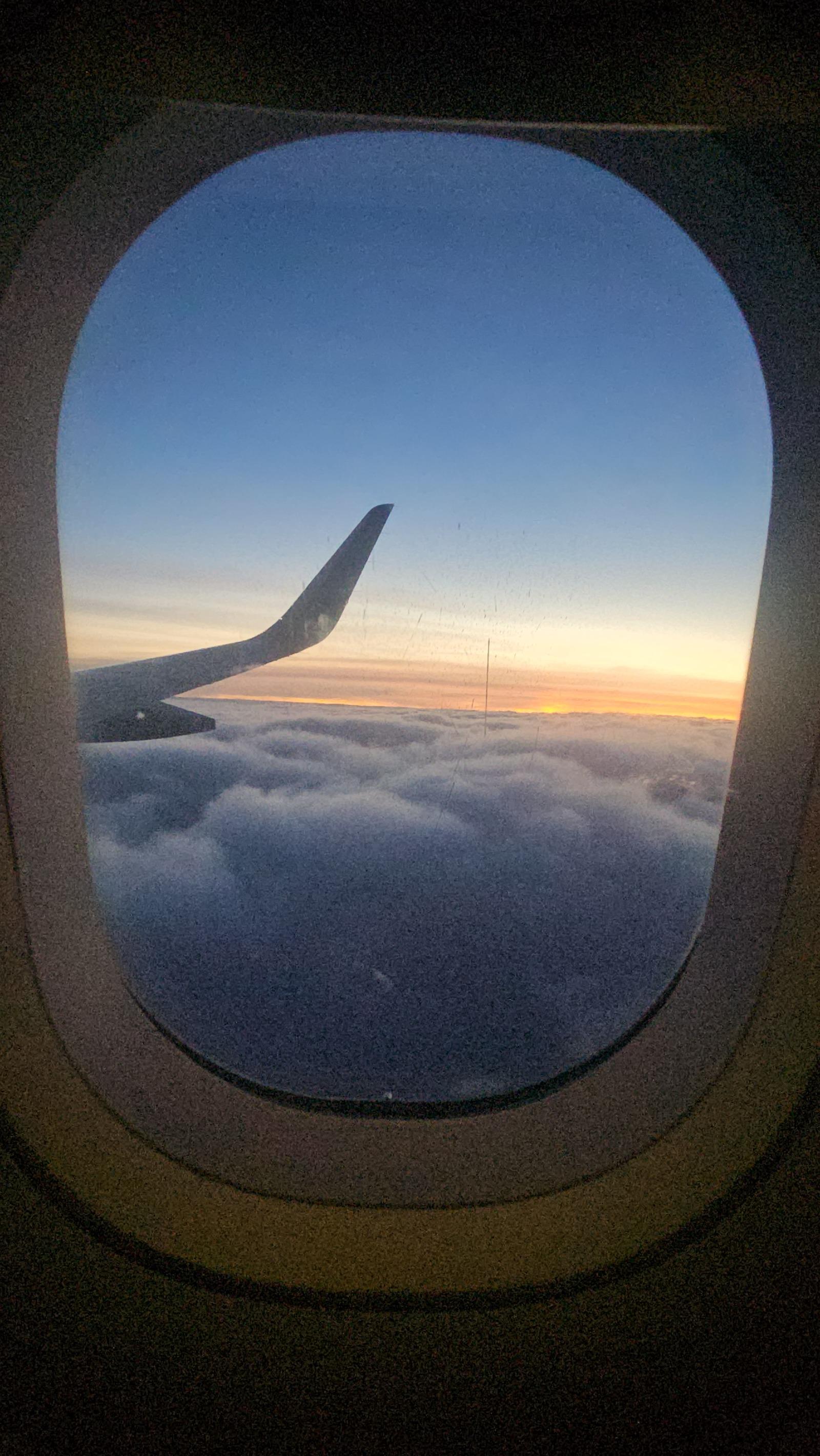 1000050466.jpg