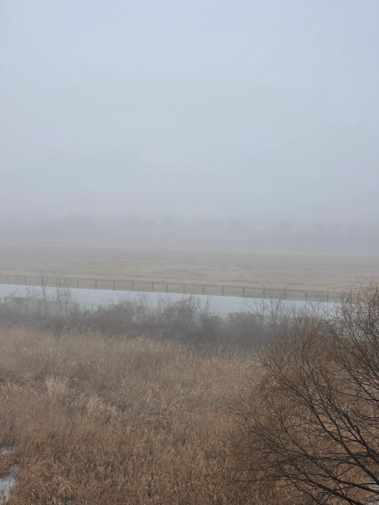 20260211_090933.jpg