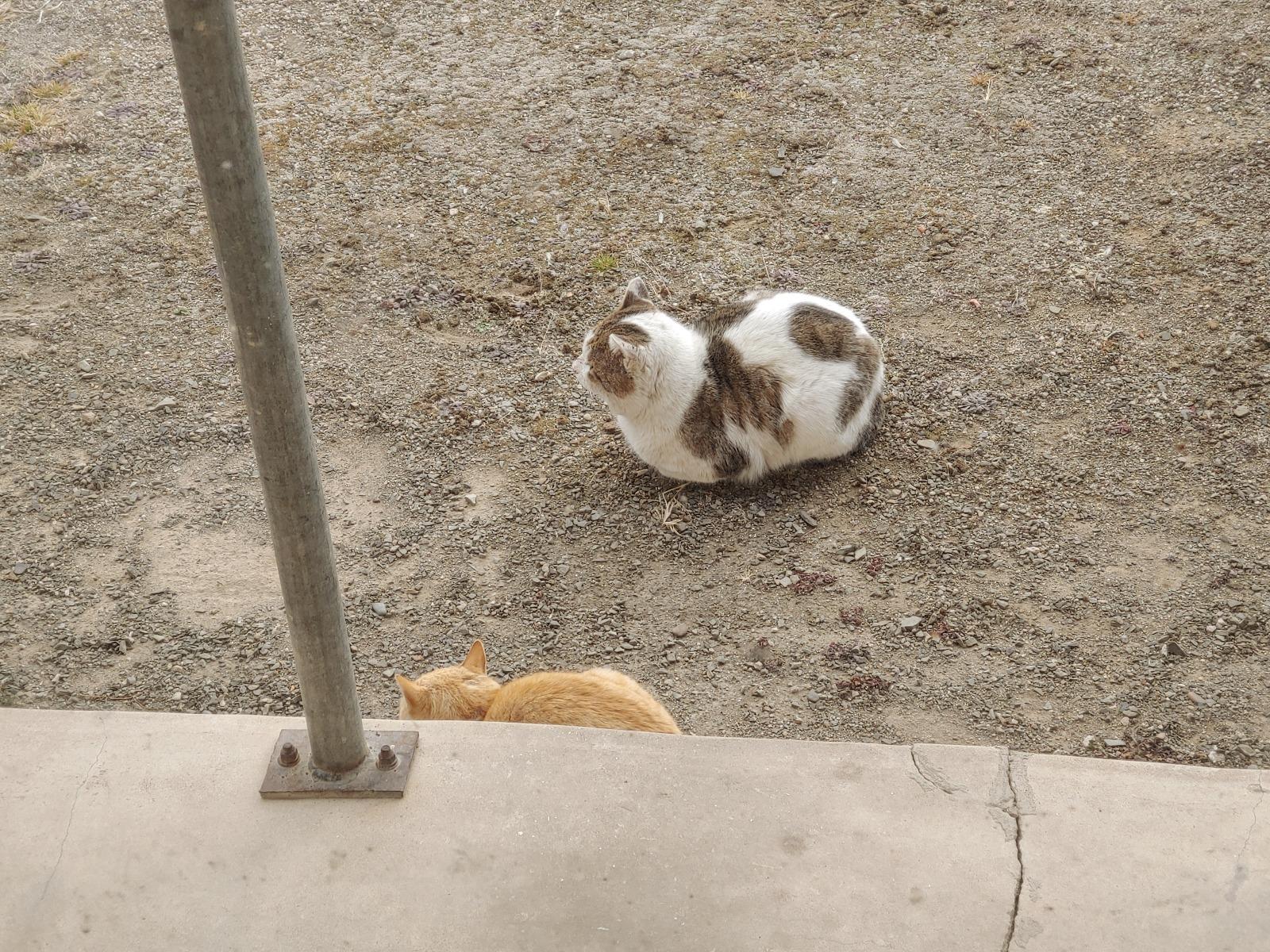 20260211_154819.jpg