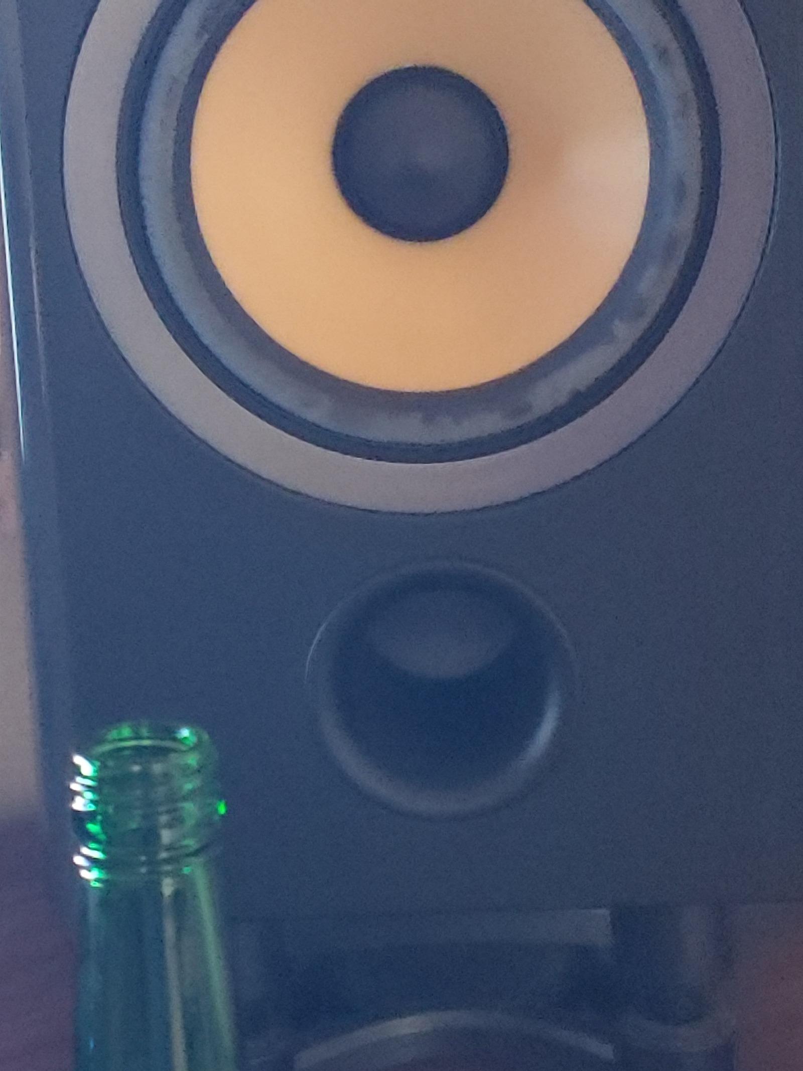 20260212_153052.jpg