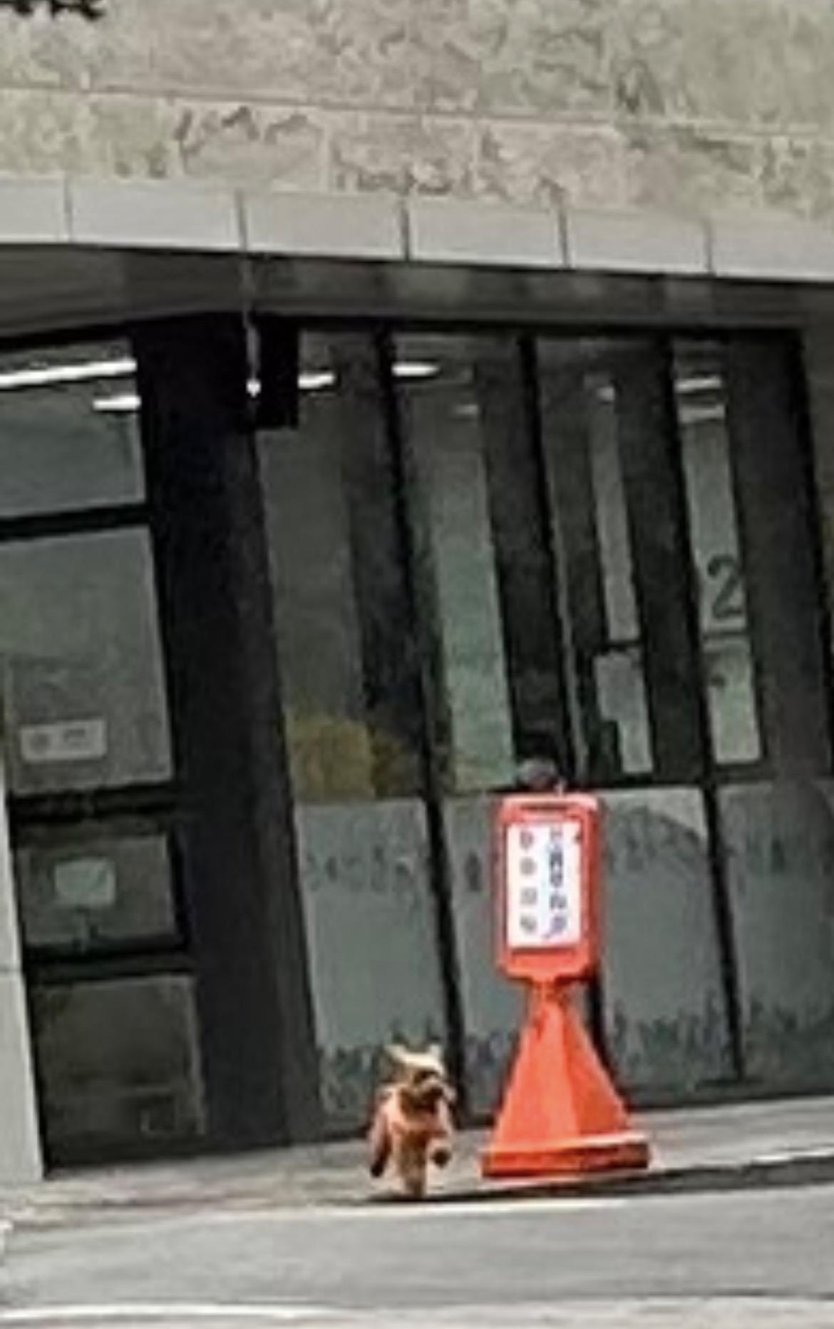 KakaoTalk_20260213_002550465_05.jpg