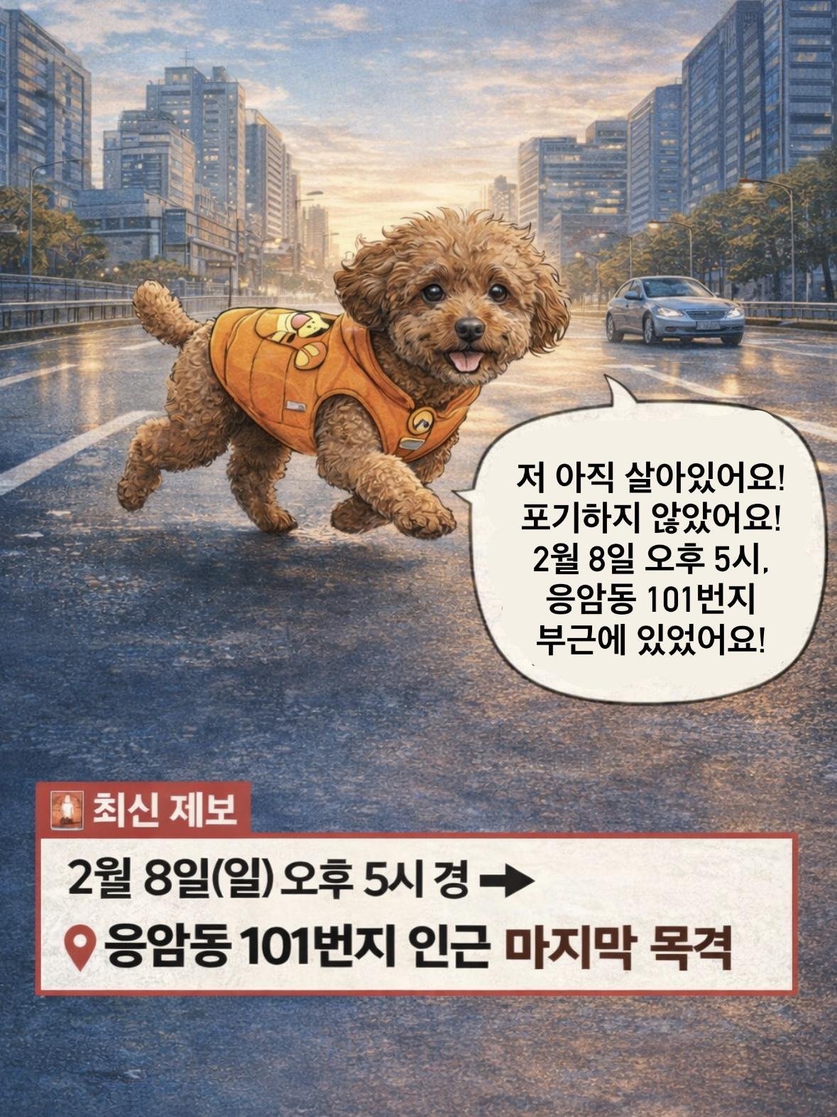 KakaoTalk_20260213_104035052_09.jpg