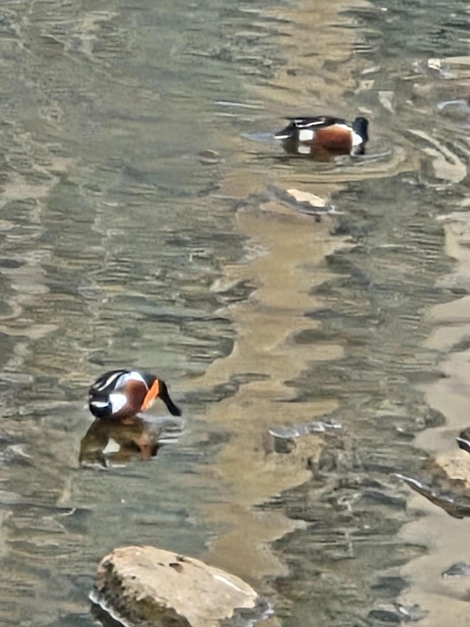 20260214_155551.jpg