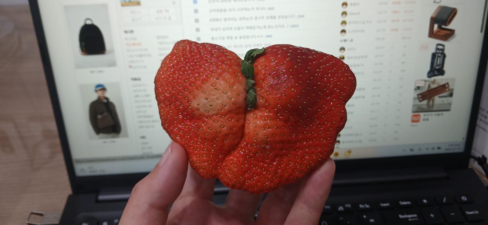 529.jpg
