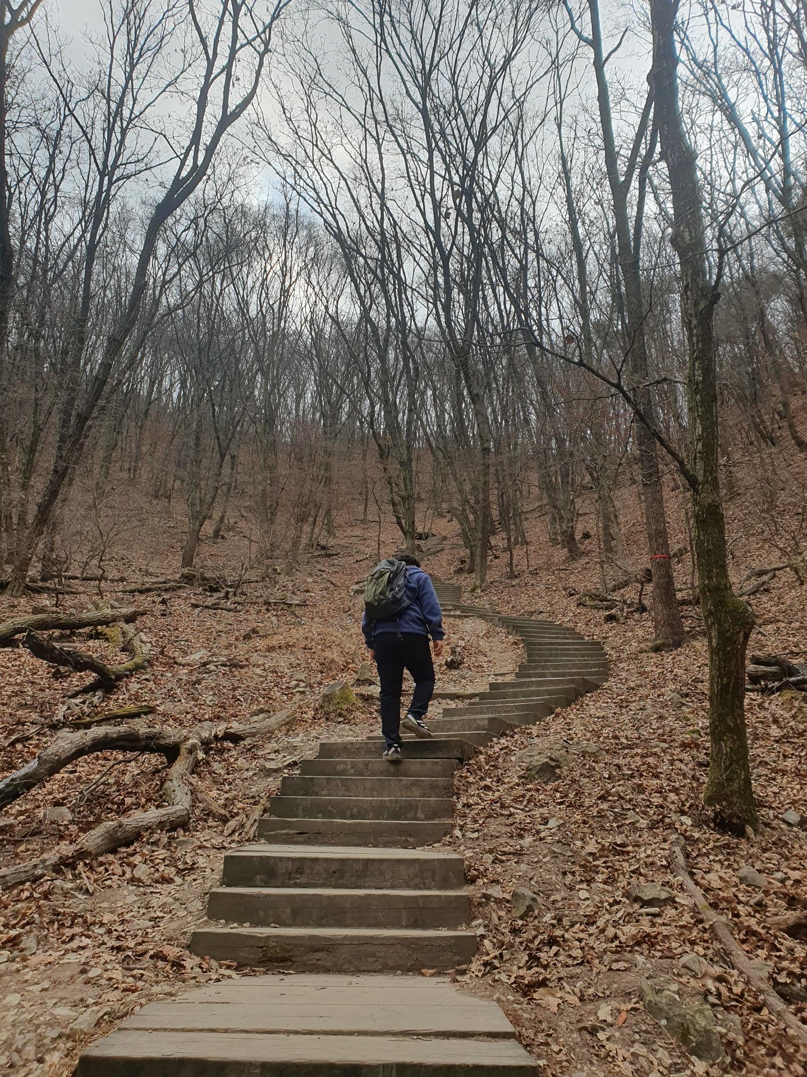 20260216_120317.jpg