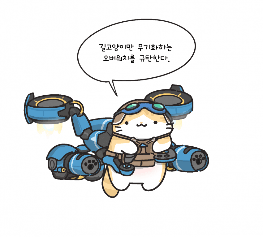 NN1.png