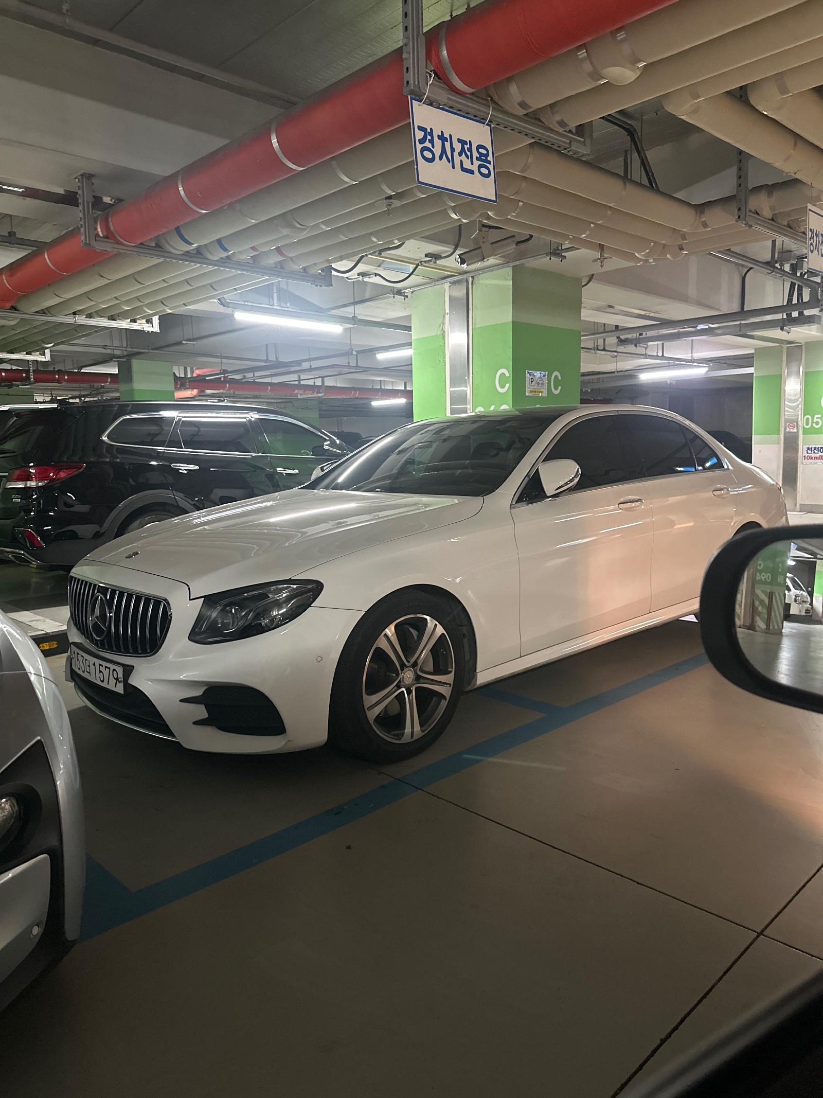 IMG_6602.jpeg