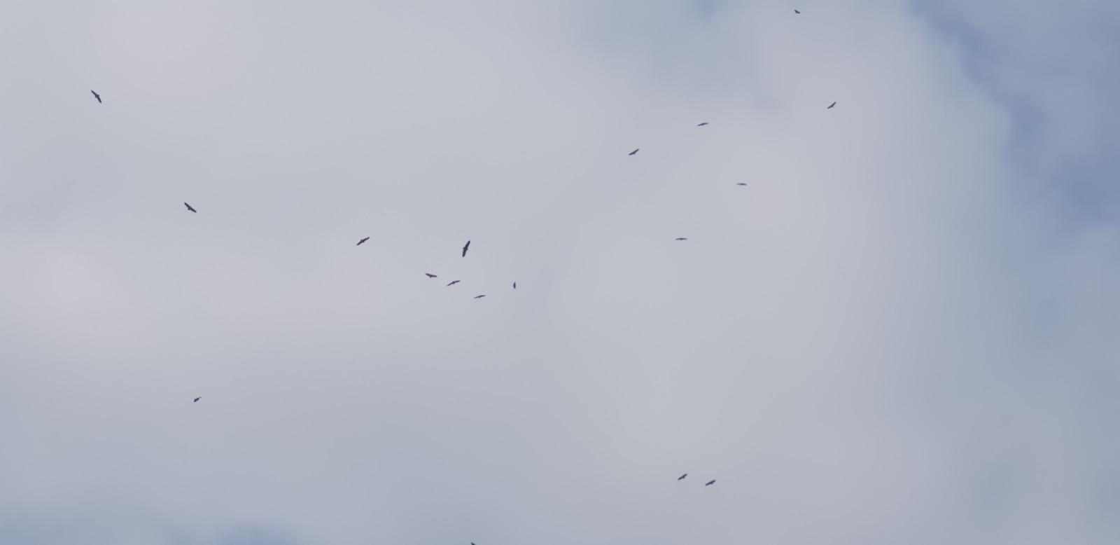 20260214_143843.jpg