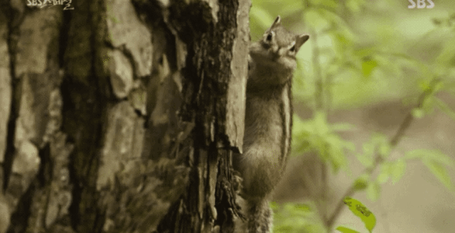gold1601817511_1507554705.gif