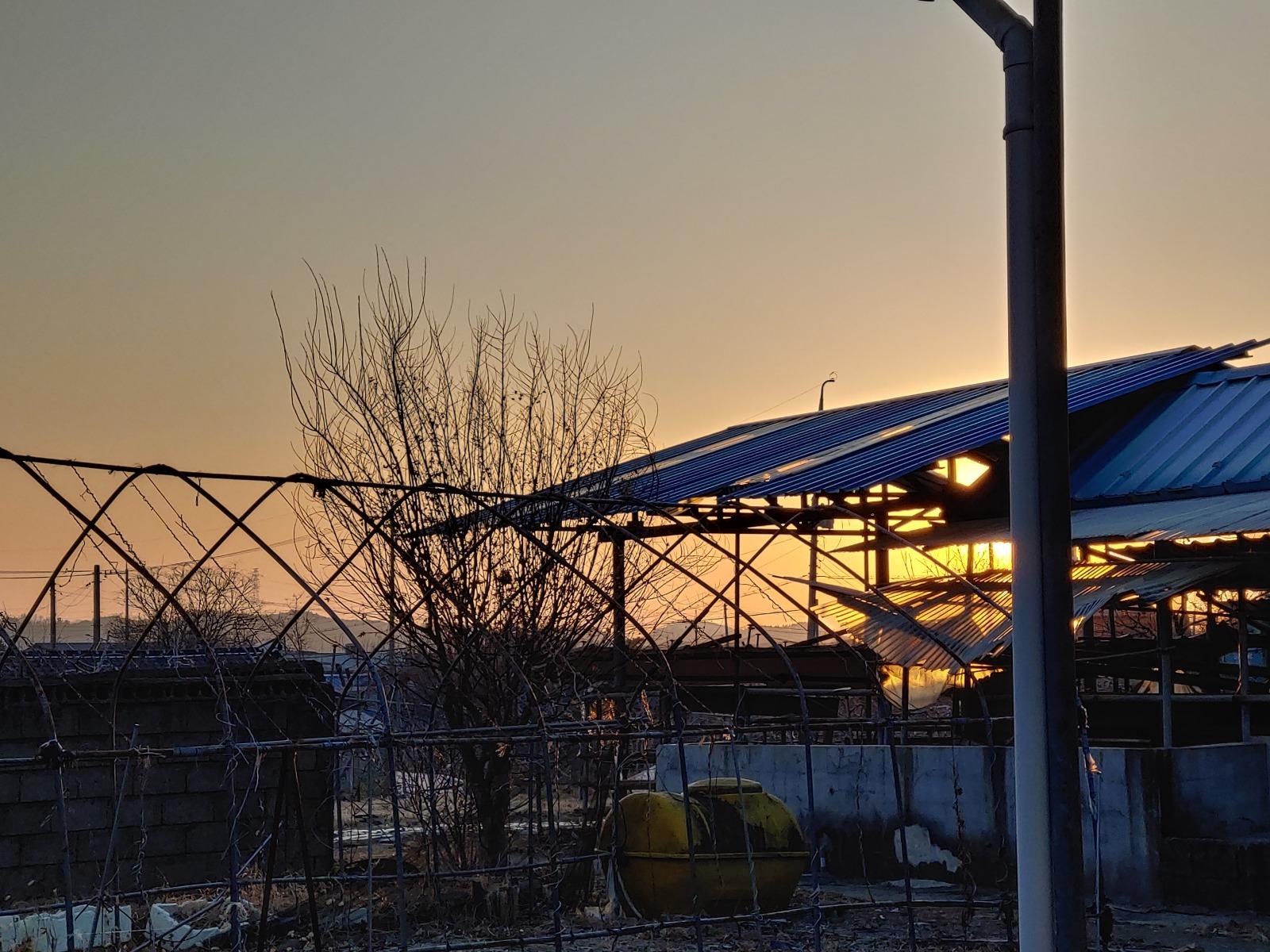 20260218_174810_HDR.jpg