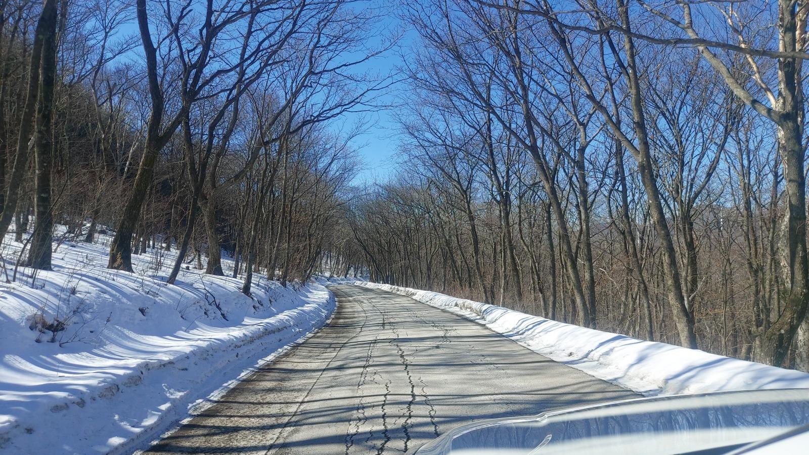 20260219_131456.jpg