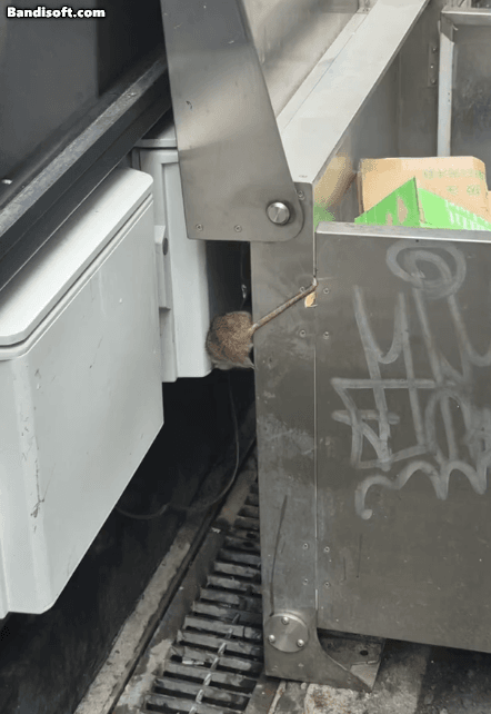 Honeycam 2026-02-19 18-10-15.gif