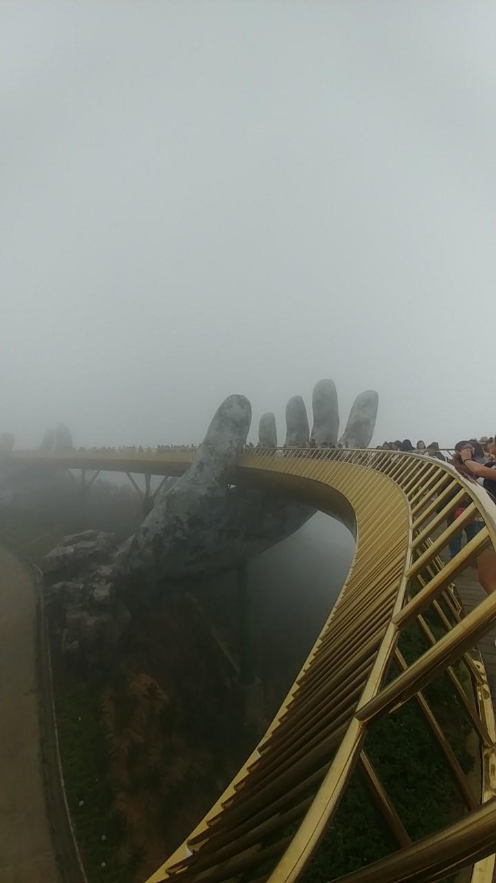 1000037802.jpg
