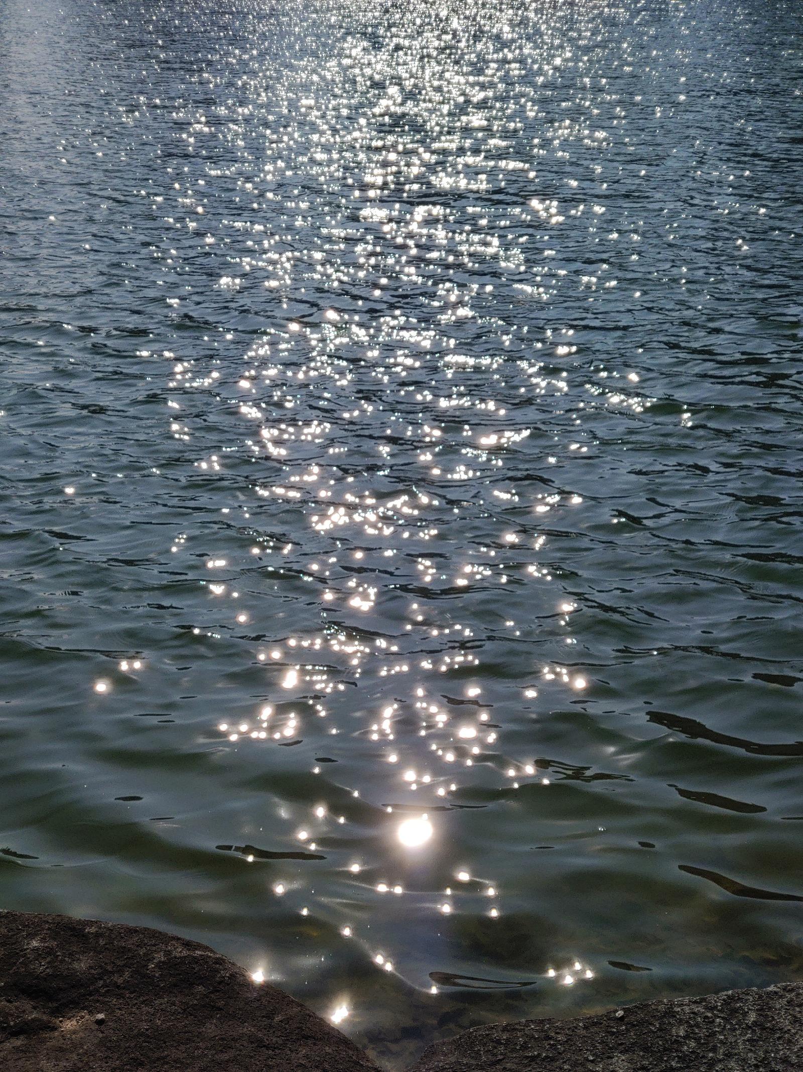 20260220_145343.jpg