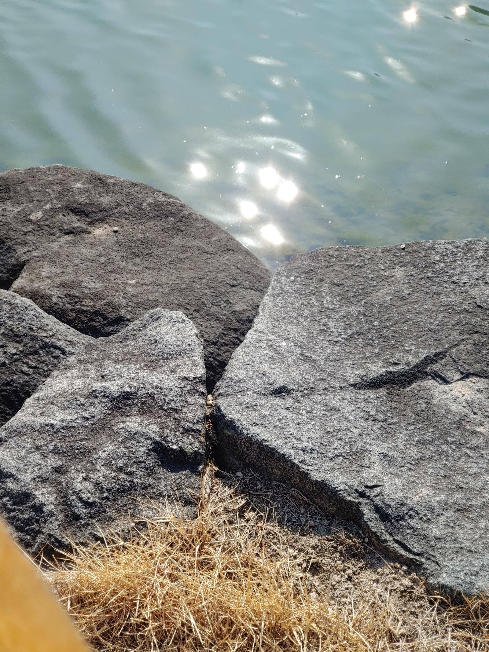 20260220_144700.jpg