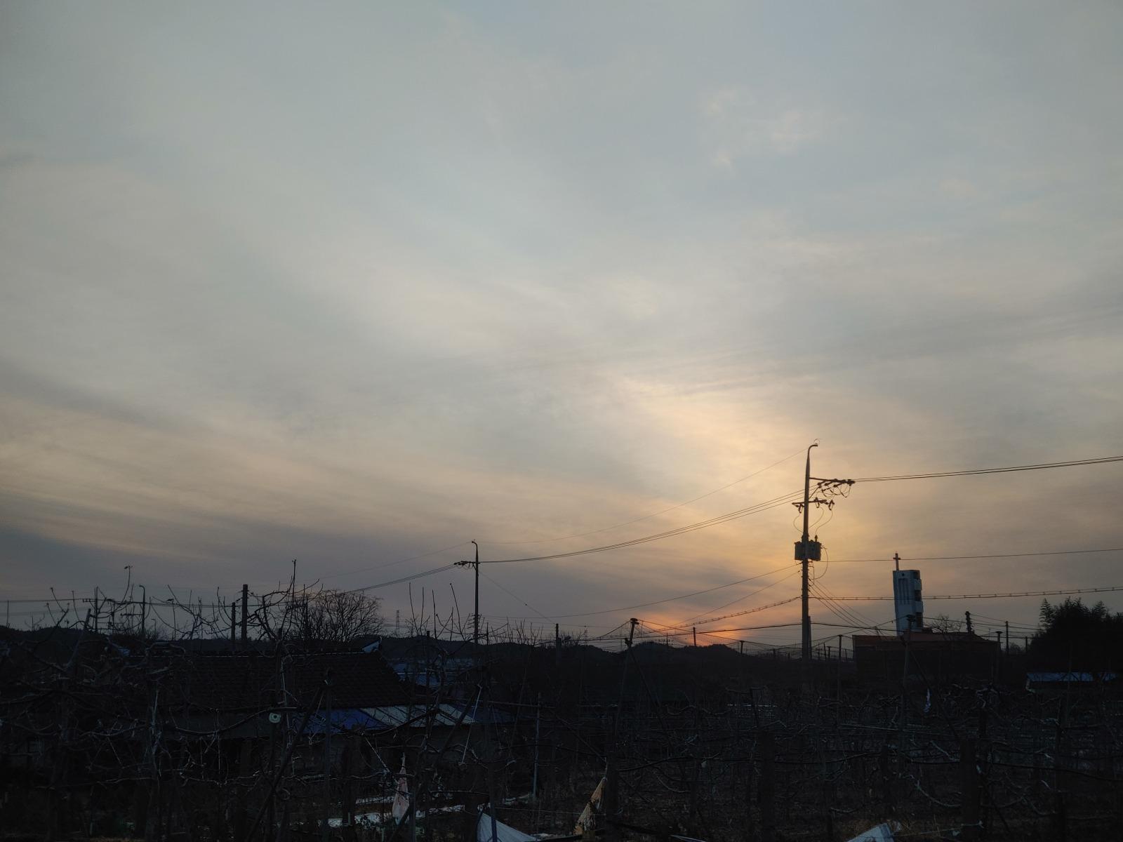 20260206_174729.jpg