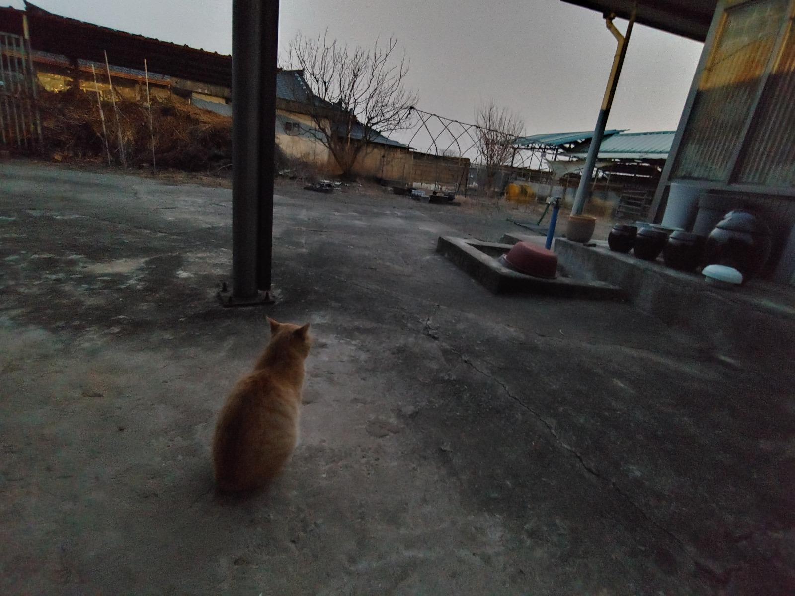 20260222_183404_HDR.jpg