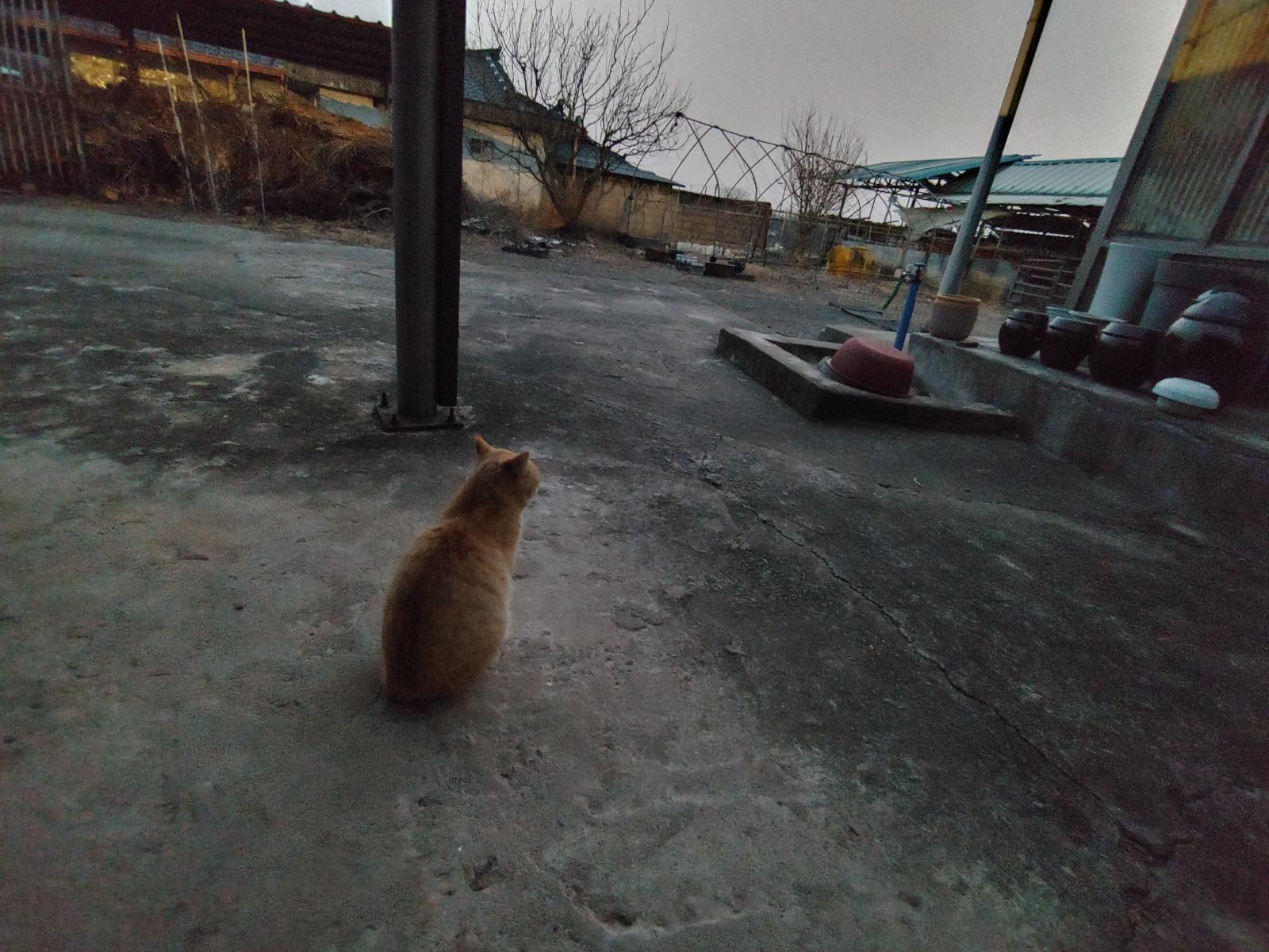 20260222_183359_HDR.jpg
