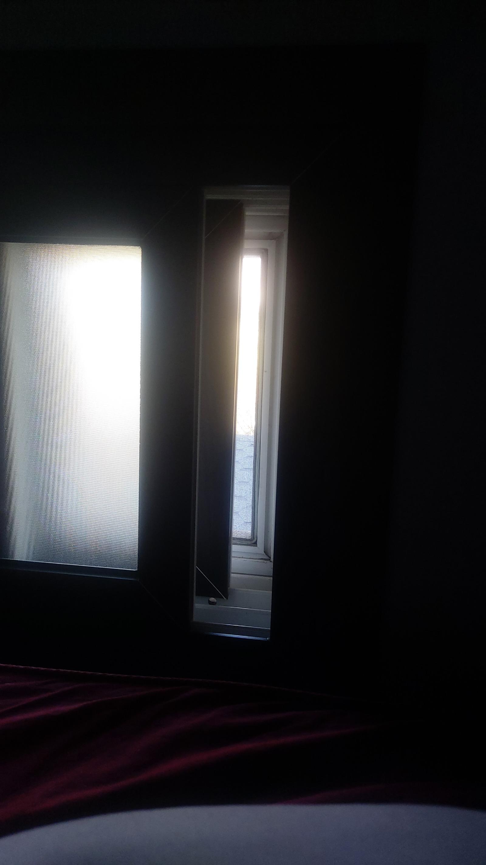 20260223_094825.jpg