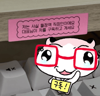 KakaoTalk_20260223_183040905.gif