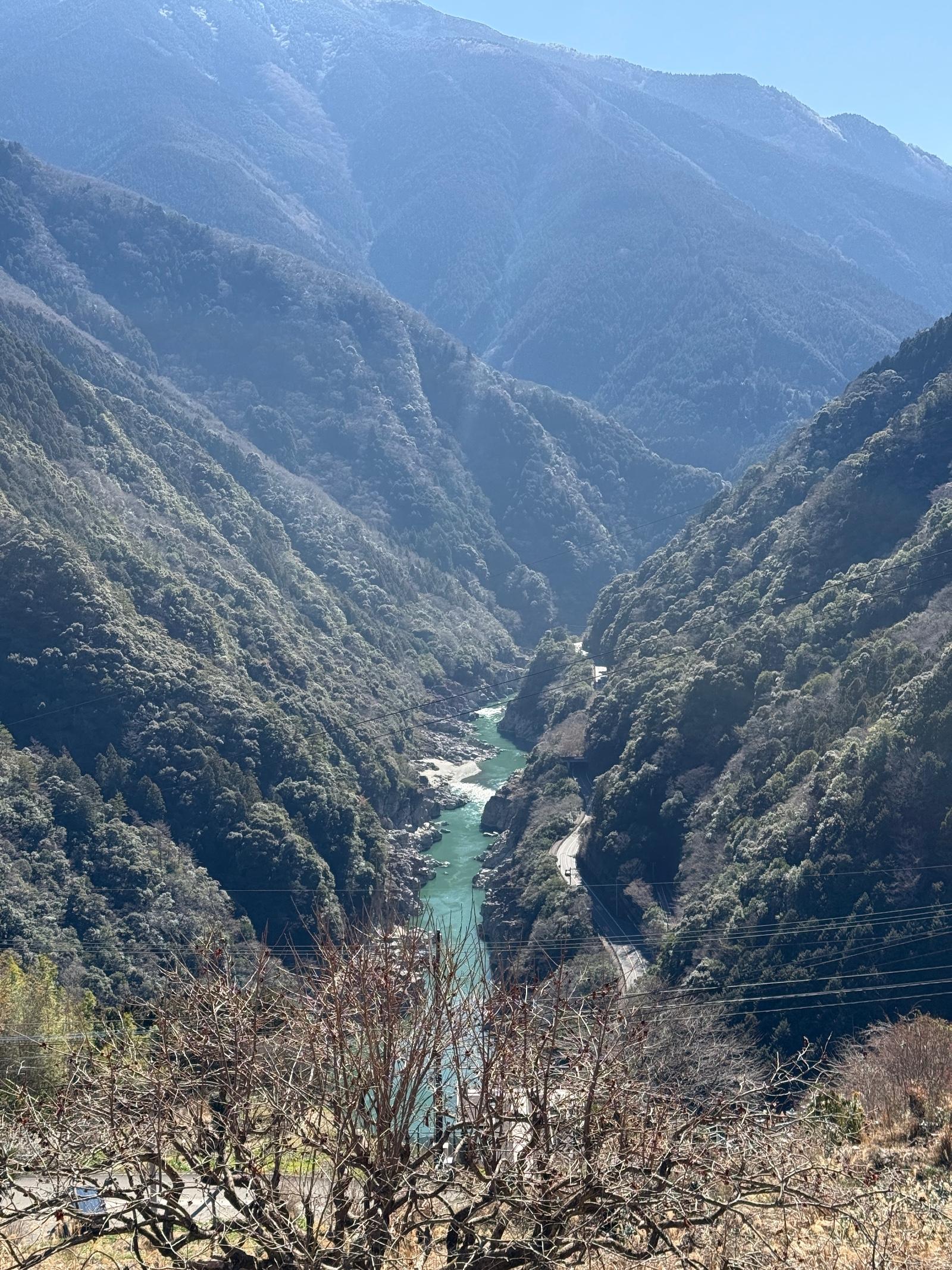 IMG_0769.jpeg