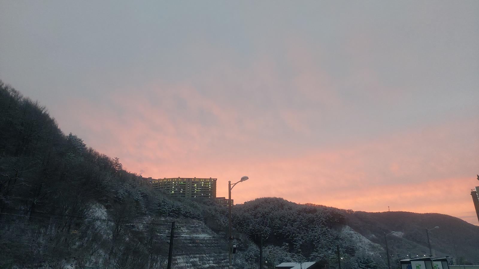 20260224_181923.jpg