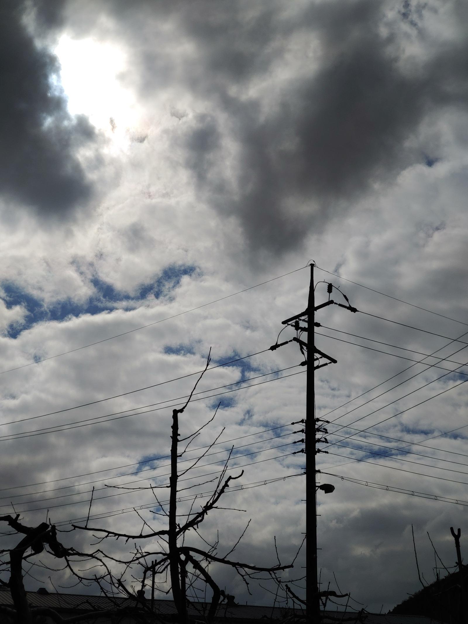 20260225_102400.jpg