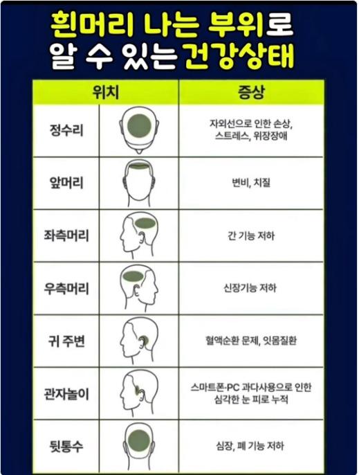 웹 캡처_25-2-2026_18146_www.instagram.com.jpeg