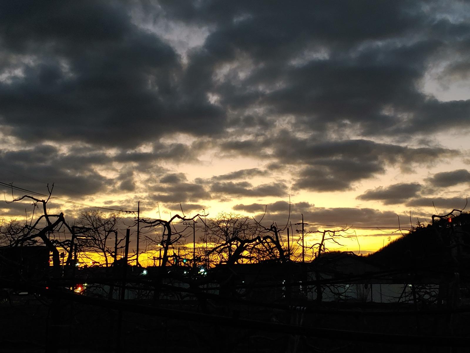 20260225_183837.jpg