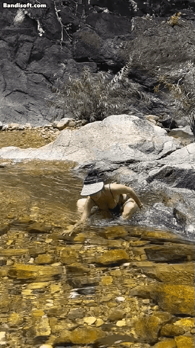 111.gif