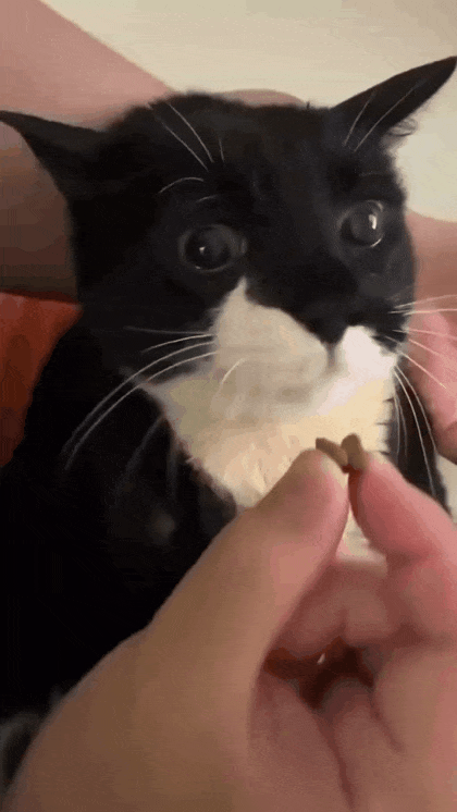 3226.gif