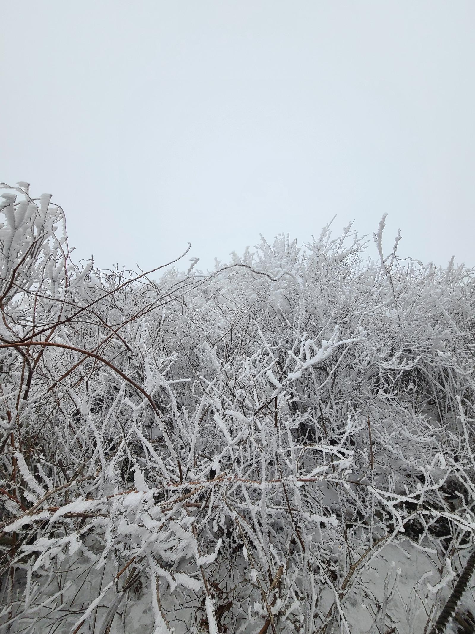 20260301_150120.jpg