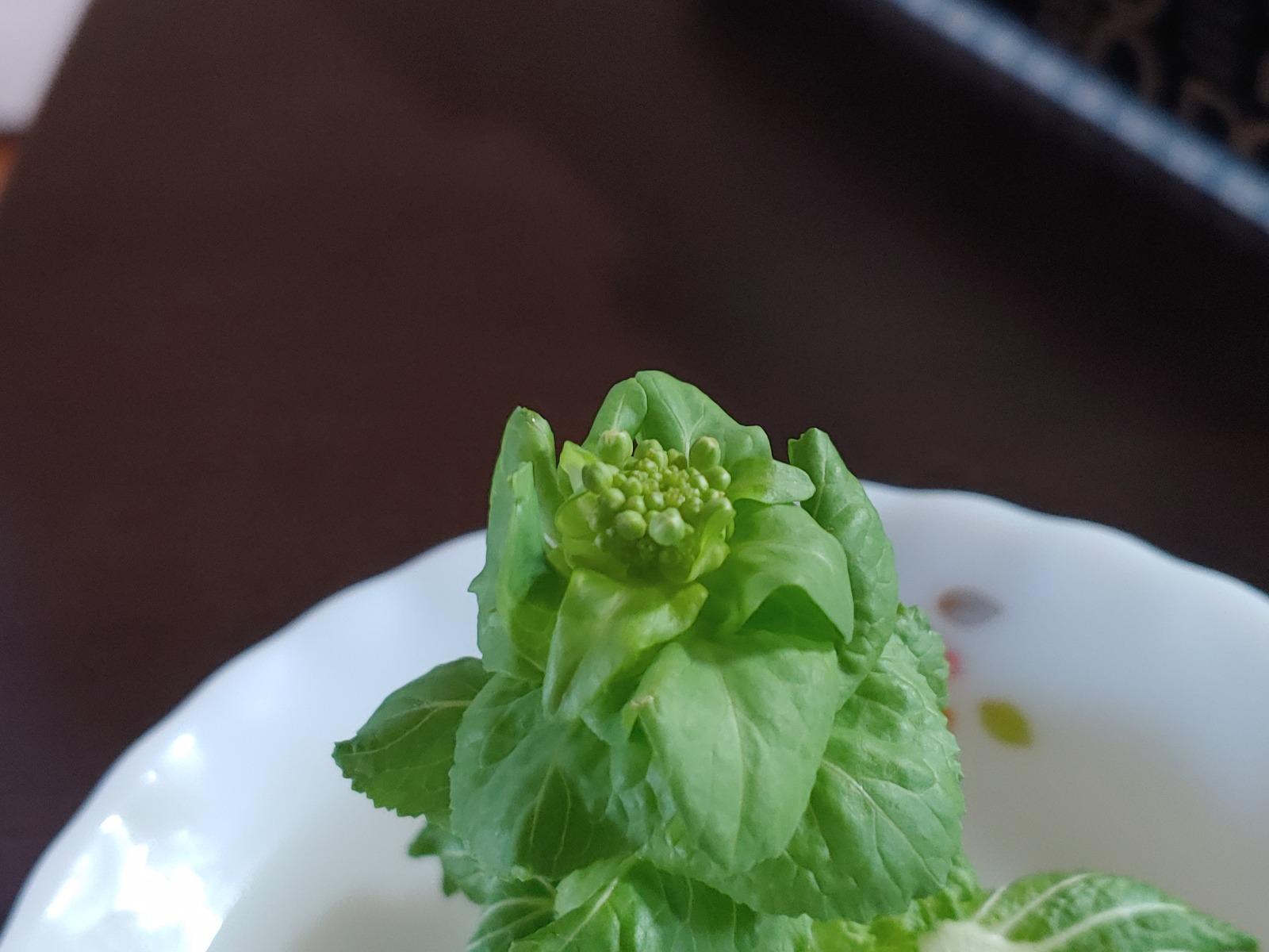 20260303_082437.jpg