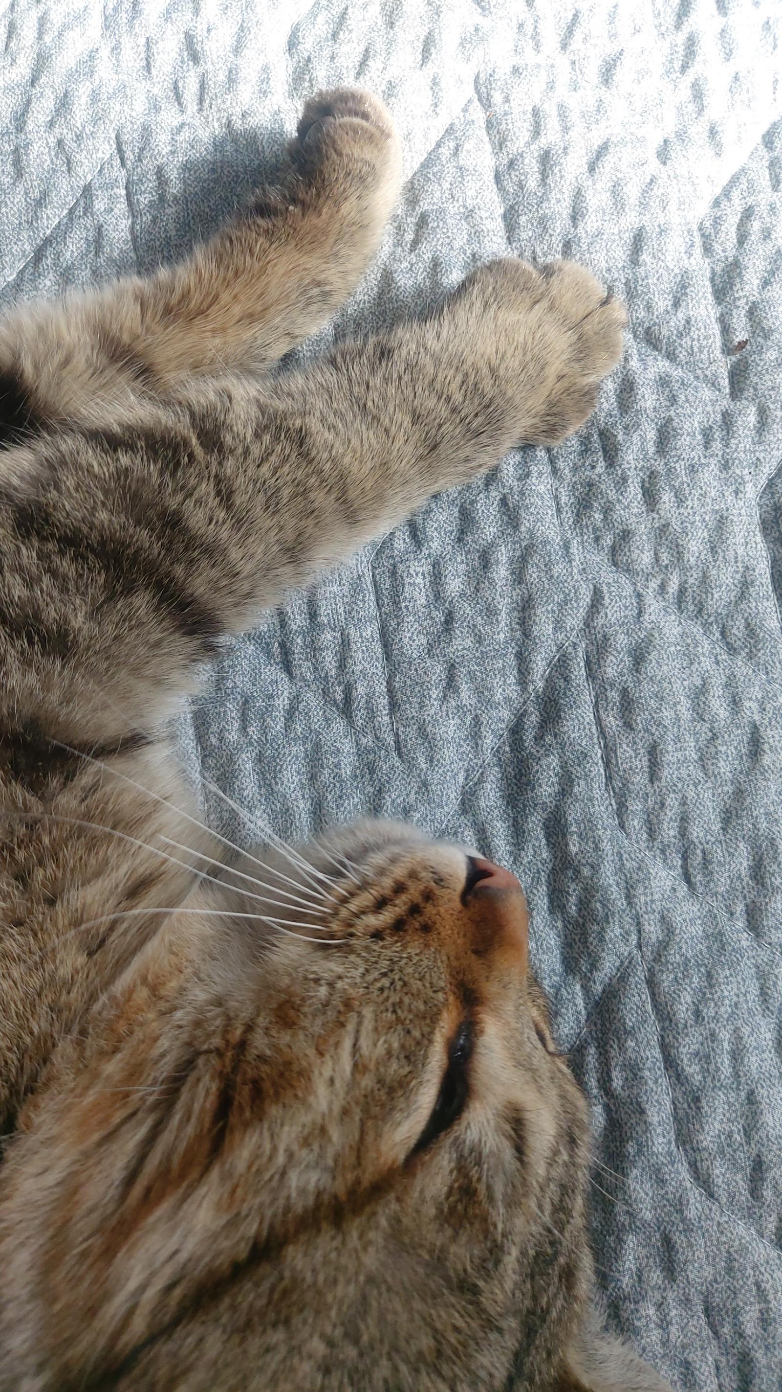 20260304_144648.jpg