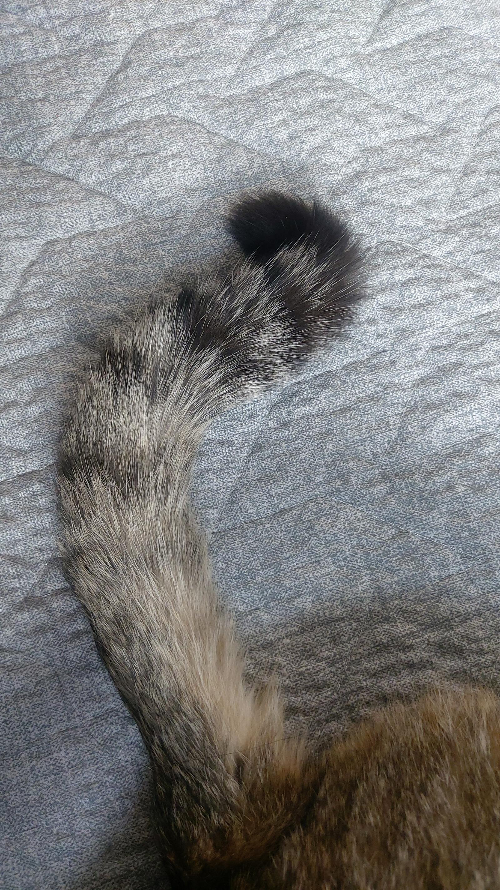 20260304_144728.jpg