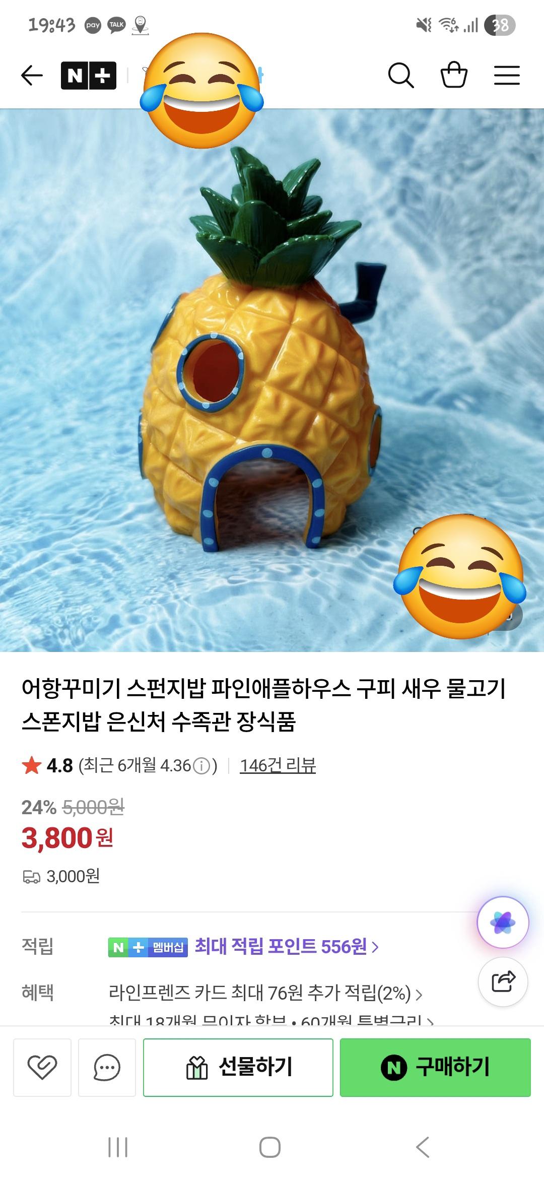 9182.jpg