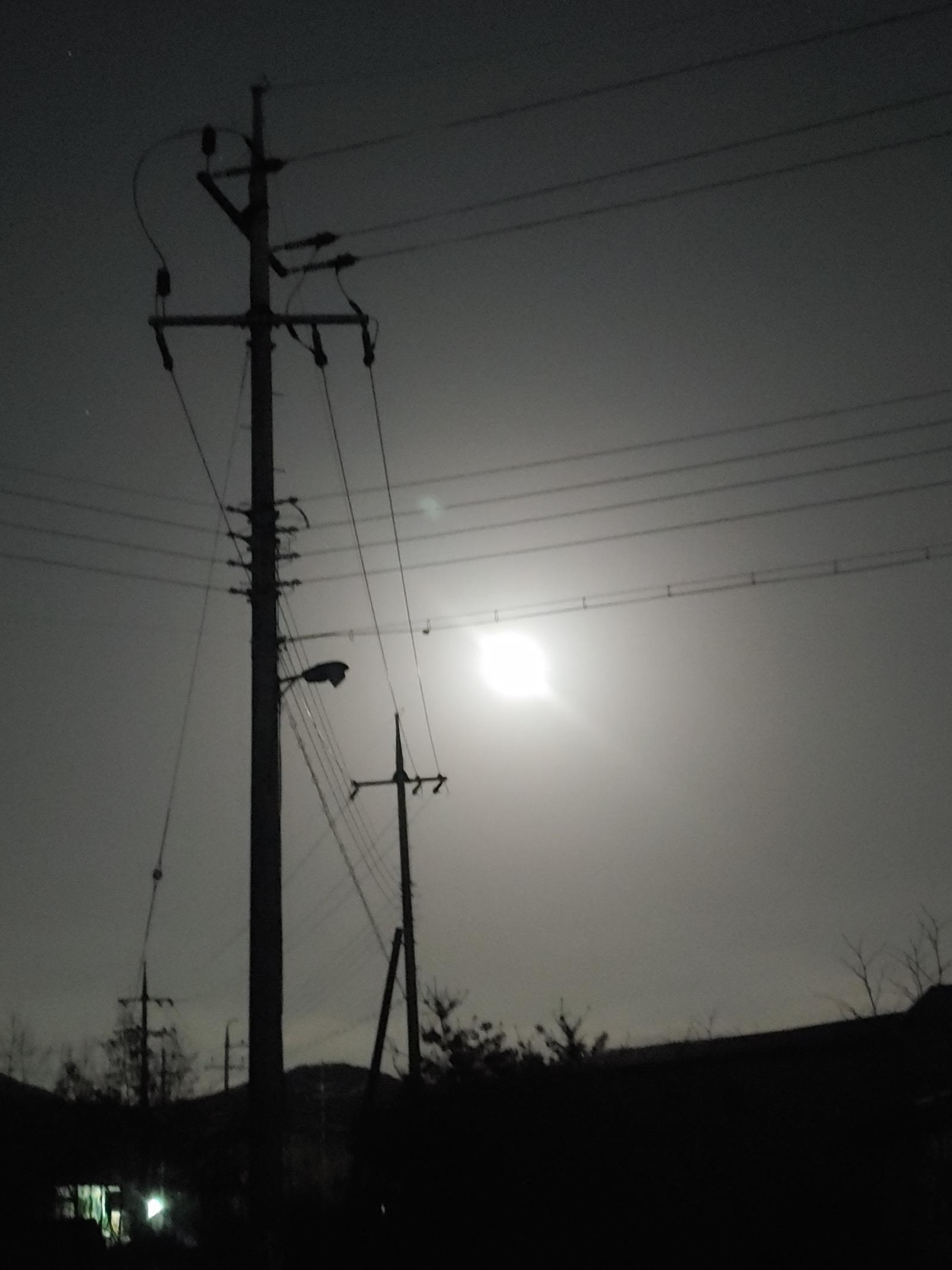20260304_204542.jpg