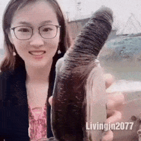 코끼리조개.gif
