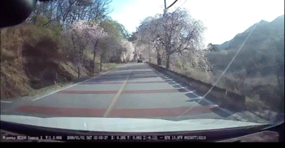 KakaoTalk_20260305_145618021_01.gif