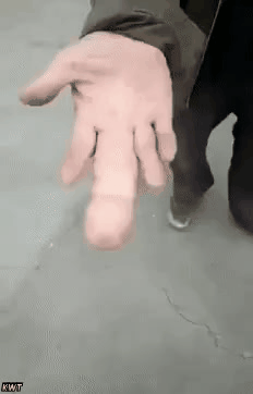 a33ed421eb38479ffcd581131e2c7a4e.gif