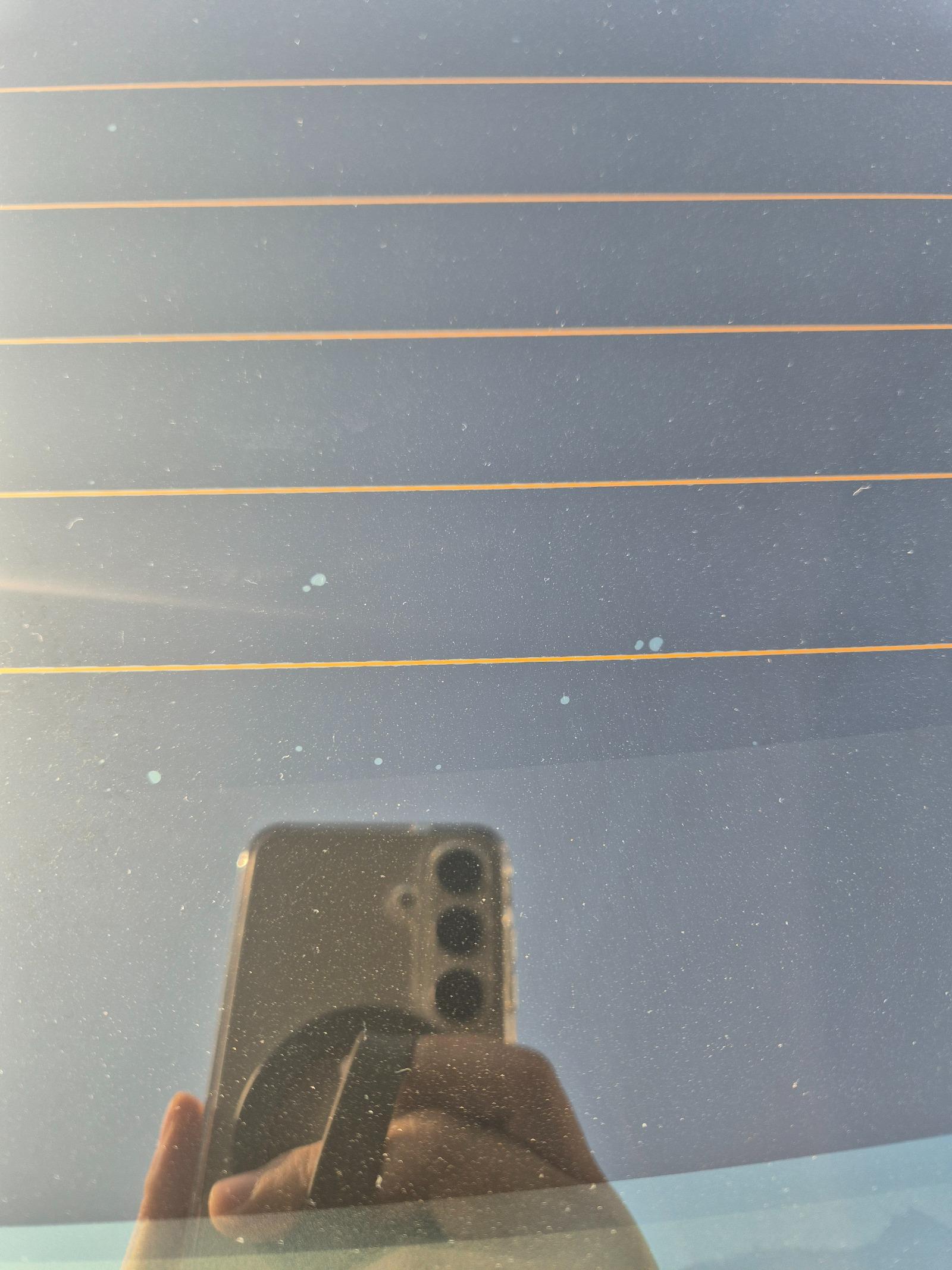 1000102072.jpg