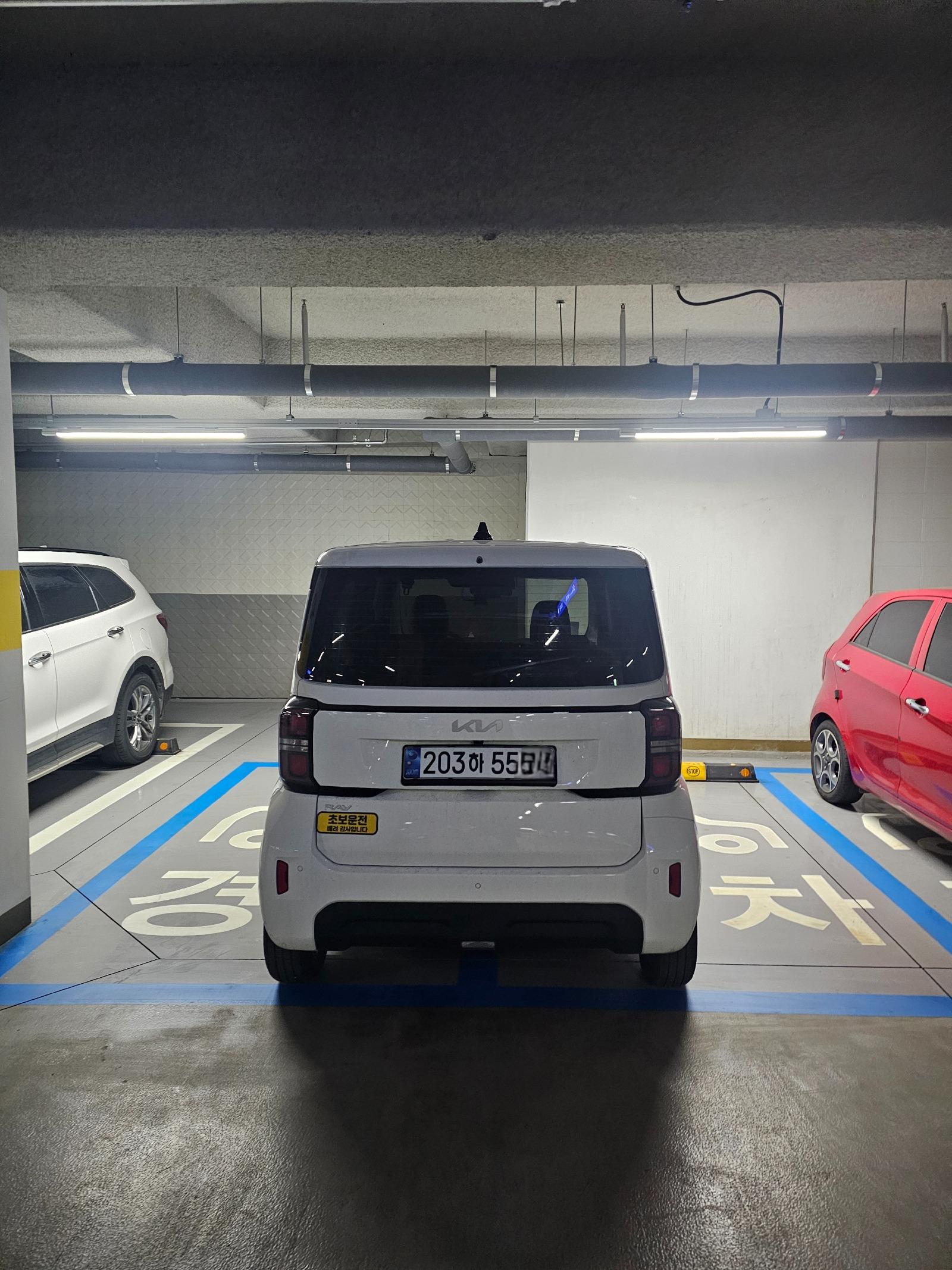 1000062464.jpg